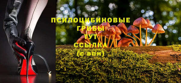 индика Лагань