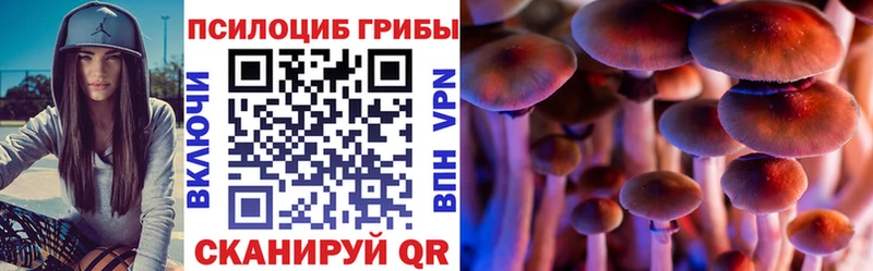 Псилоцибиновые грибы ЛСД  как найти   Ахтырский 